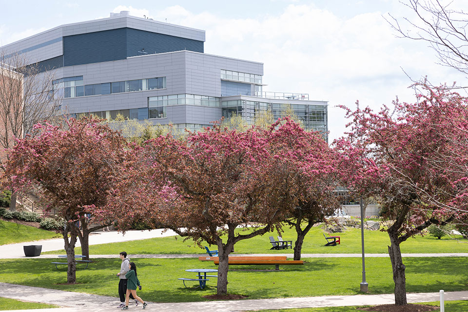 The Brandeis campus in spring