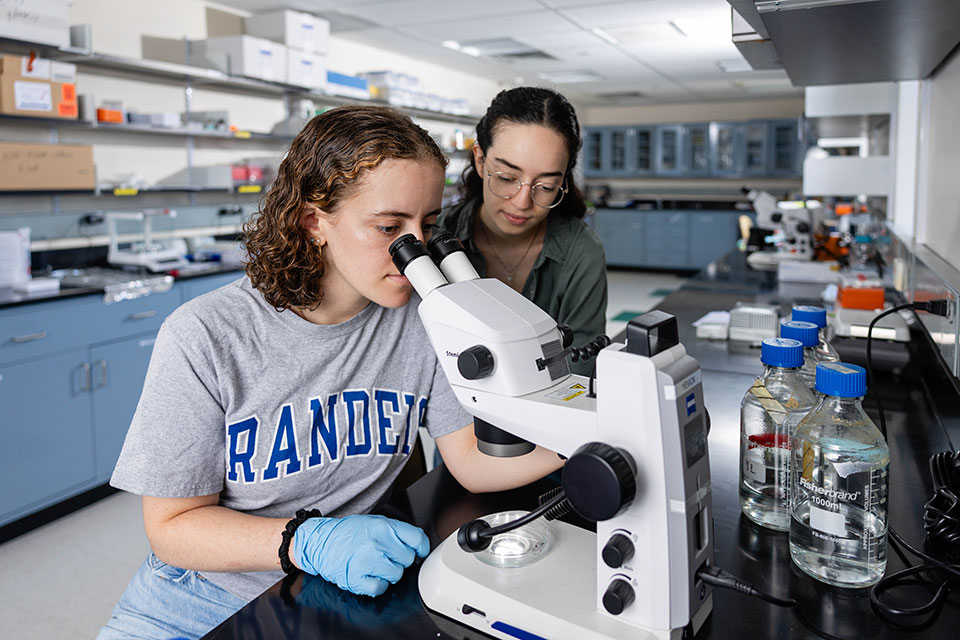 Fredberg and other student work with a microscope in a lab.