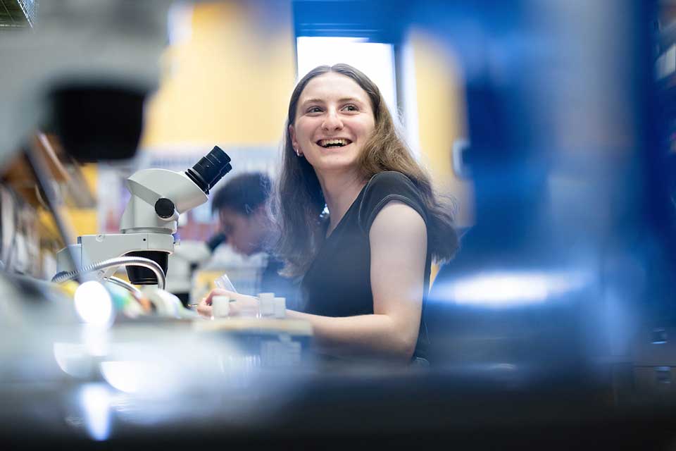 Biology student conducts research on fruit flies in Avital Rodal’s laboratory at Brandeis University.