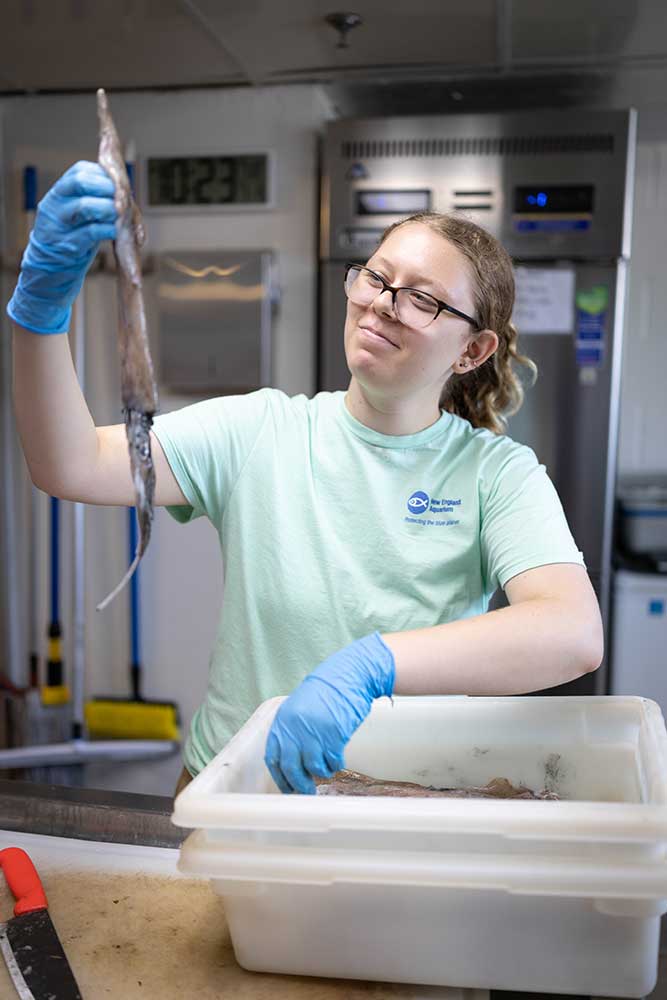 Lyra holding a squid