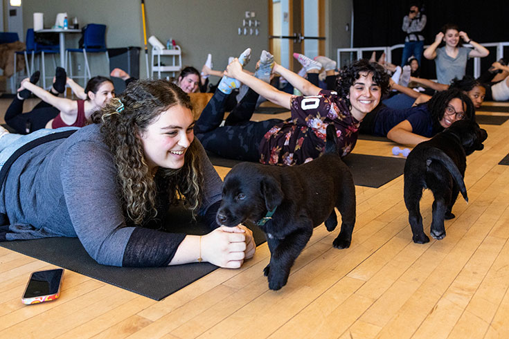 A group of students take a yoga class while puppies run through the room.