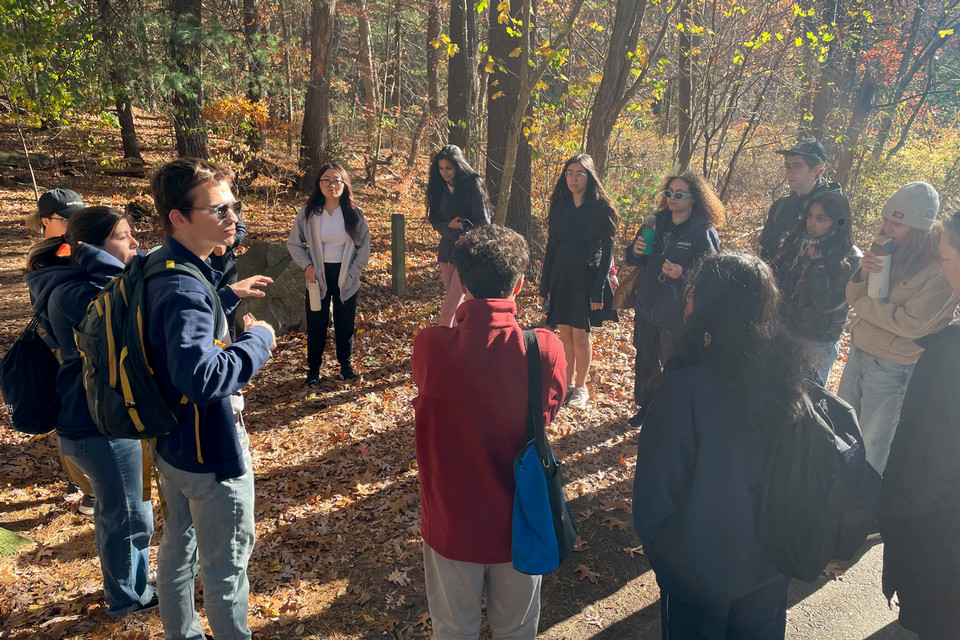 image of a people standing in a circle with trees around them