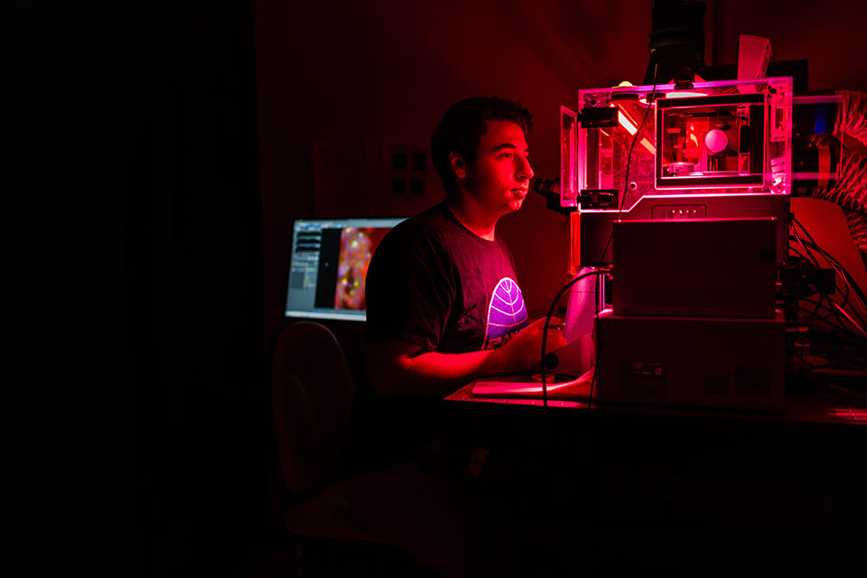 A student conducts research in a dark room that is illuminated by a red light.