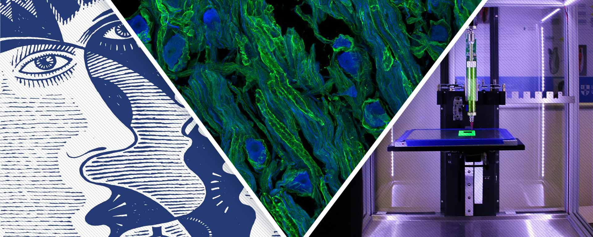 Collage of items related to computer science, biology and other sciences