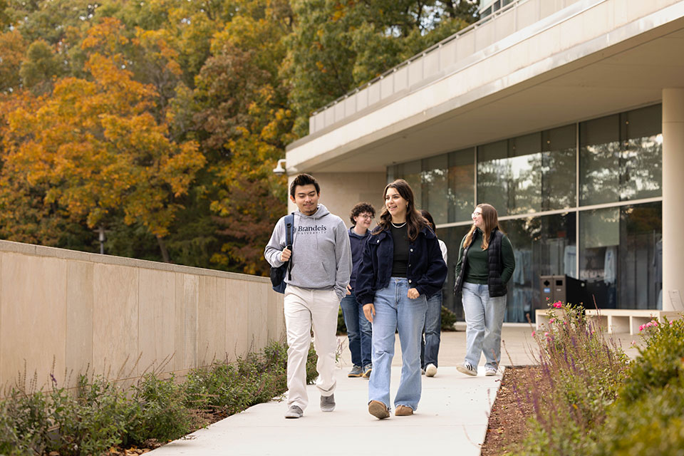 A group of students walk together on the Brandeis campus.