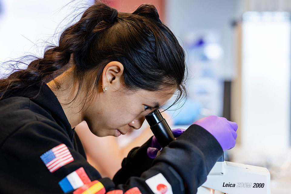 A student looks into a microscope.