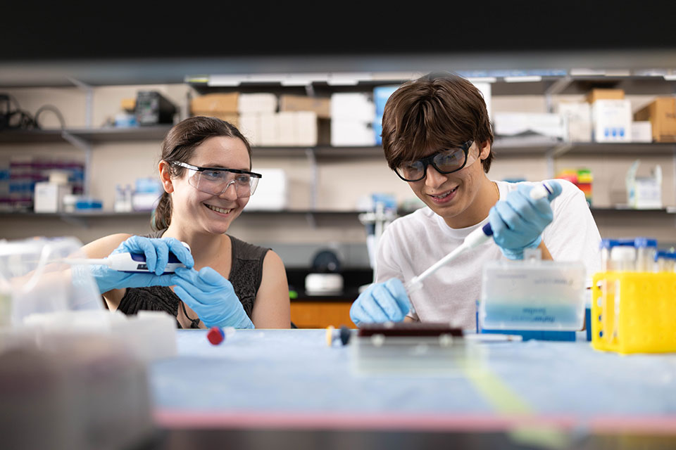 Students use pipettes in a lab.